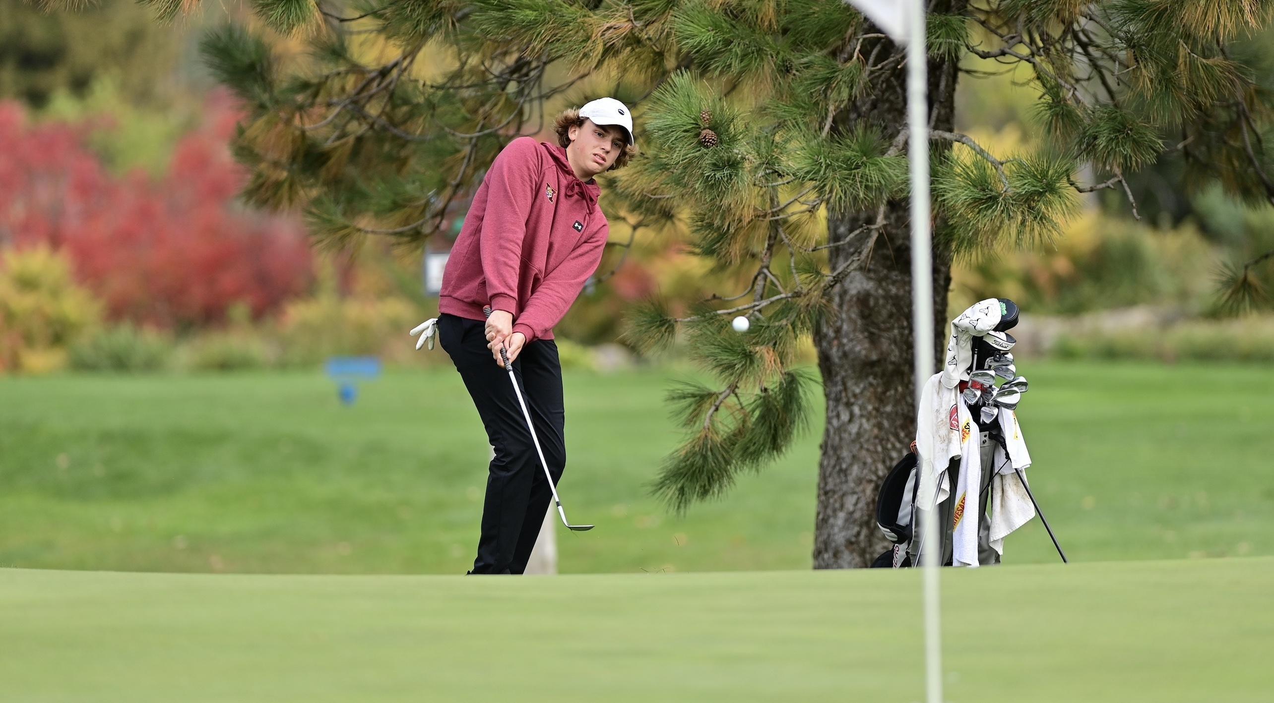 2022 AA And A Boys State Golf Final Results